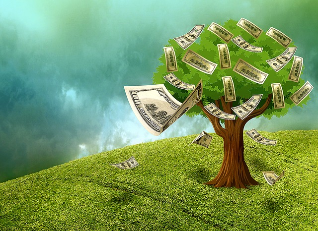 peníze na stromě