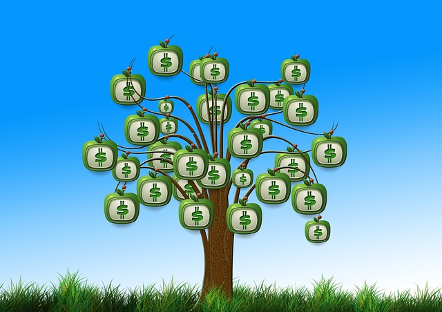 peníze na stromě rostou